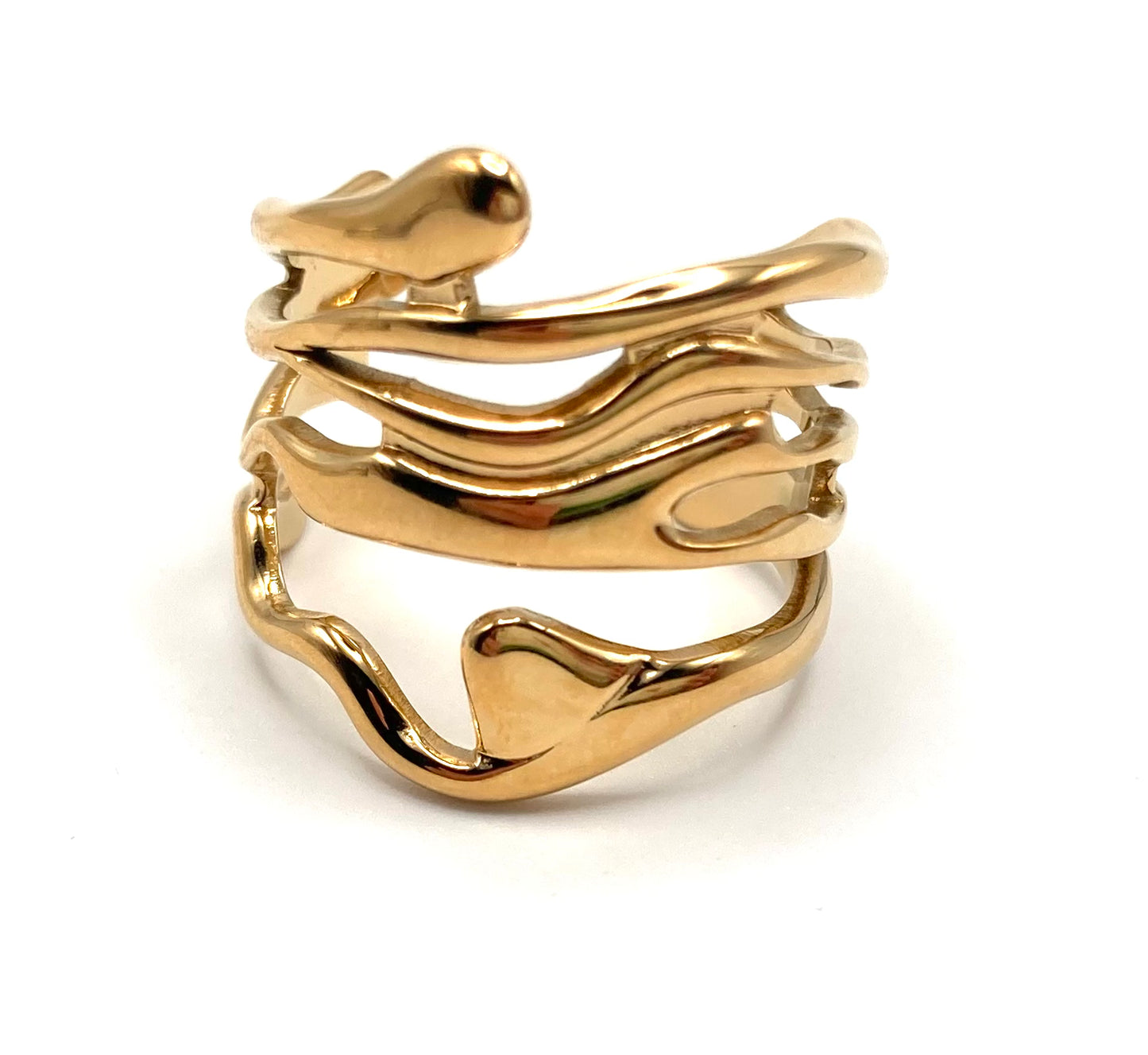 Anello a fascia
