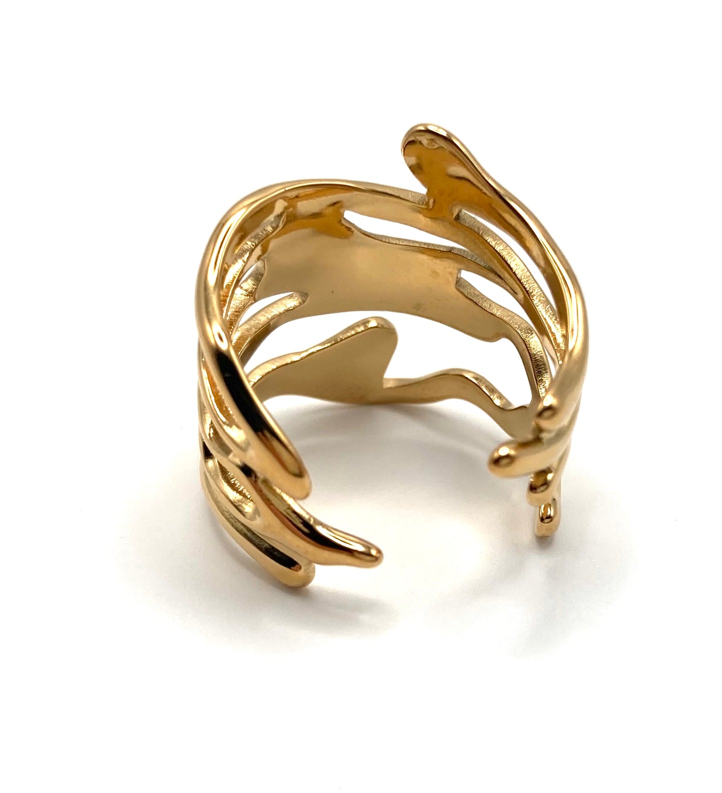 Anello a fascia